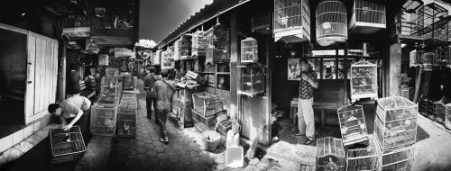 Sebuah aktivitas pagi di sudut Ngasem