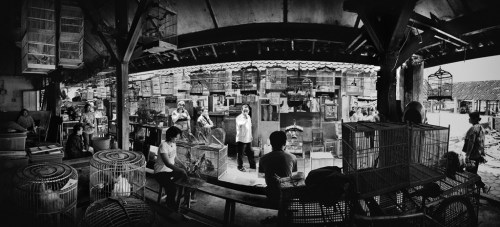 Antara pedagang dan pembeli