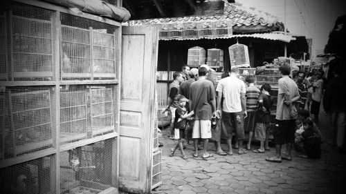 Sudut - sudut bergerombol