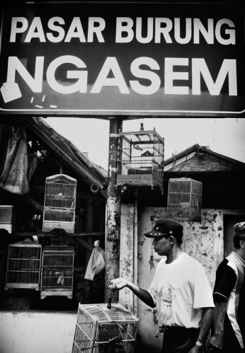 Selalu setia mengunjungi pasar Ngasem