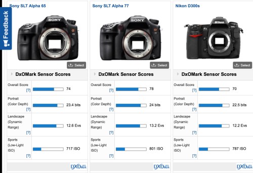 Jika kita bandingkan dengan produser pembuat sensor Nikon, yaitu Sony, score product sejenisnya sudah lebih unggul di market. Dan dengan kata lain Sony sebenarnya sudah menyediakan sensor unggulannya di kelas DX