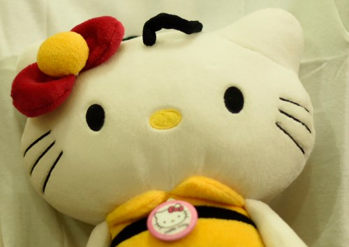 WB : Daylight Fluorescent