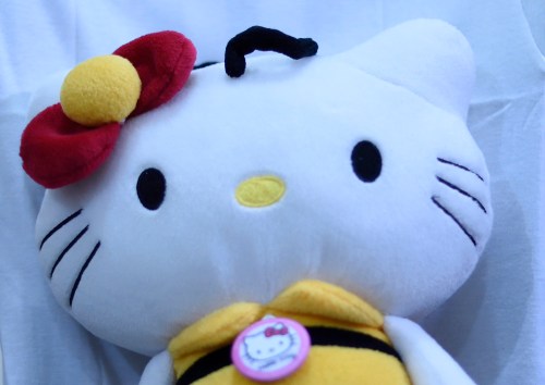 WB : White Fluorescent