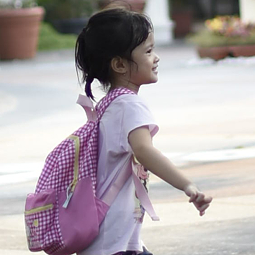 frame 1 ( crop 100% )