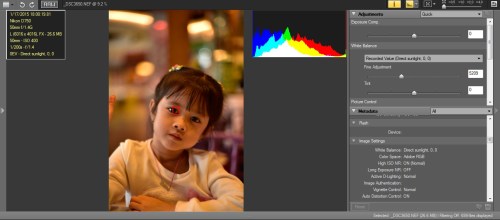 WB Dirrect Sunlight, warna yang dihasilkan cenderung Warm
