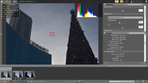 Picture Style : Normal dan D-Lighting Normal