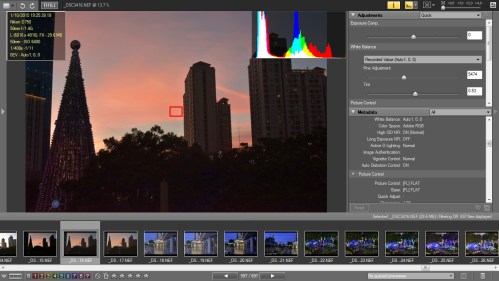 Picture Style Flat dan D-Lighting Normal