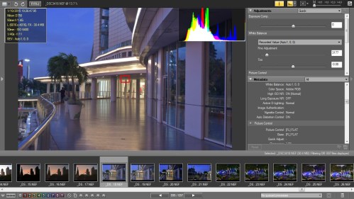 Picture Style Flat dan D-Lighting Normal