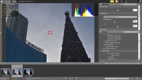 Picture Style Flat dan D-Lighting Extra High