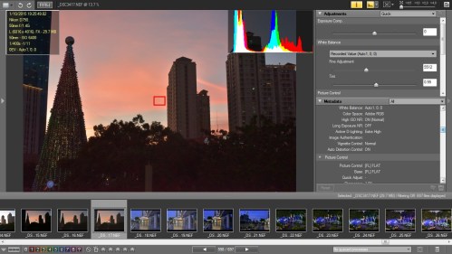 Picture Style Flat dan D-Lighting Extra High