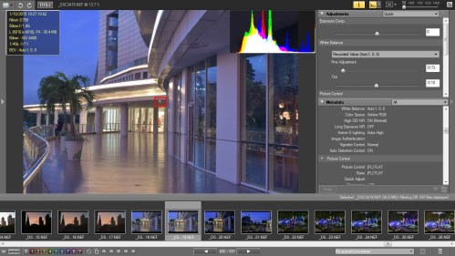 Picture Style Flat dan D-Lighting Extra High