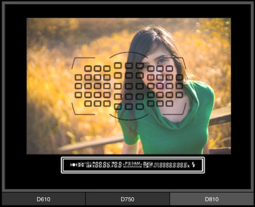 Focus modul pada Nikon D810
