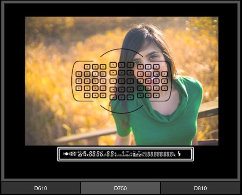 focus modul pada Nikon D750