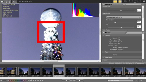 Highlight - Weighted Cropped