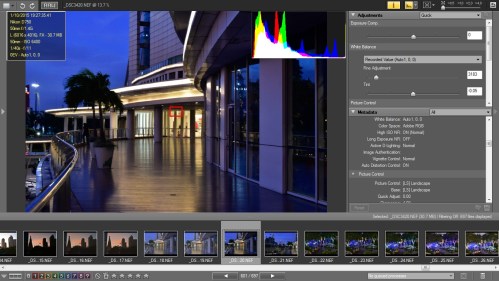 Picture Style Landscape dan D-Lighting Normal