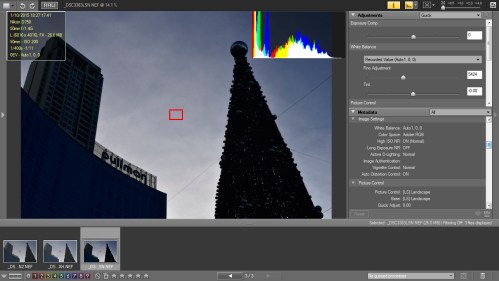 Picture Style Landscape dan D-Lighting Normal