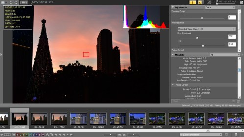 Picture Style Landscape dan D-Lighting Normal