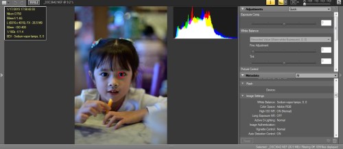 WB Neon Sodium-Vapor : hasil menjadi kebiruan