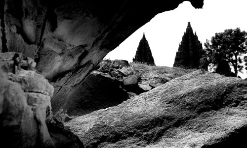 Di bawah batang pohon mengering