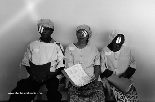 smg0805-happy and stress collied